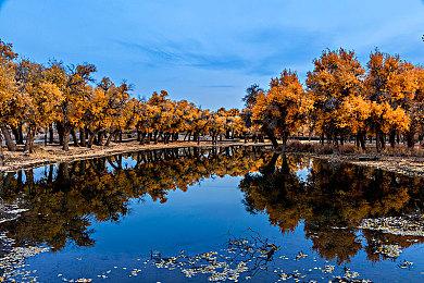 DLSS 3.8 vs DLSS 4：《荒野大镖客2》等5款游戏实测